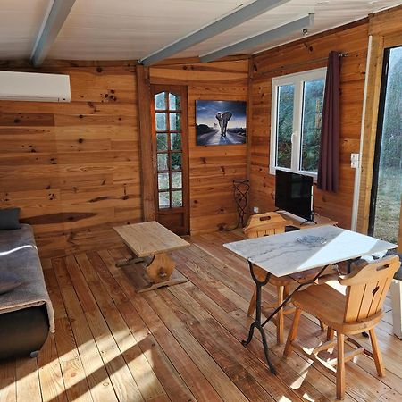 Chalet Banane Devant Piscine, A 6Km Du Festival De Piano De La Roque D'Antheron Rognes Exterior photo